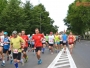 start-3-polmaratonu-radomskiego-czerwca-77